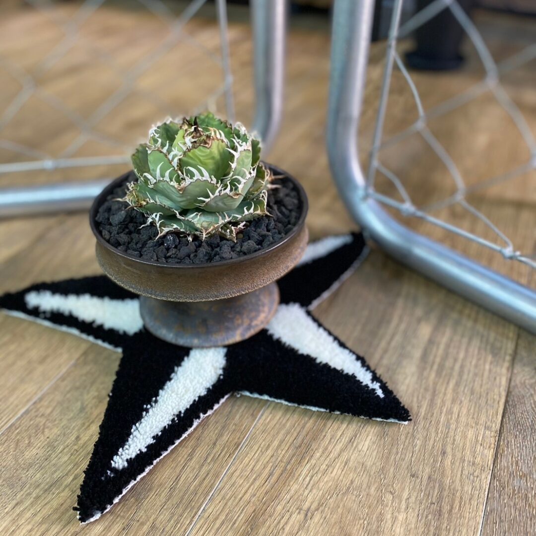 【NAUTICAL STAR RUG S】 - 画像 (3)